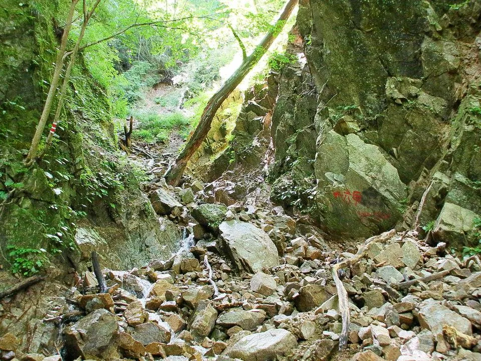 六甲山頂への谷道