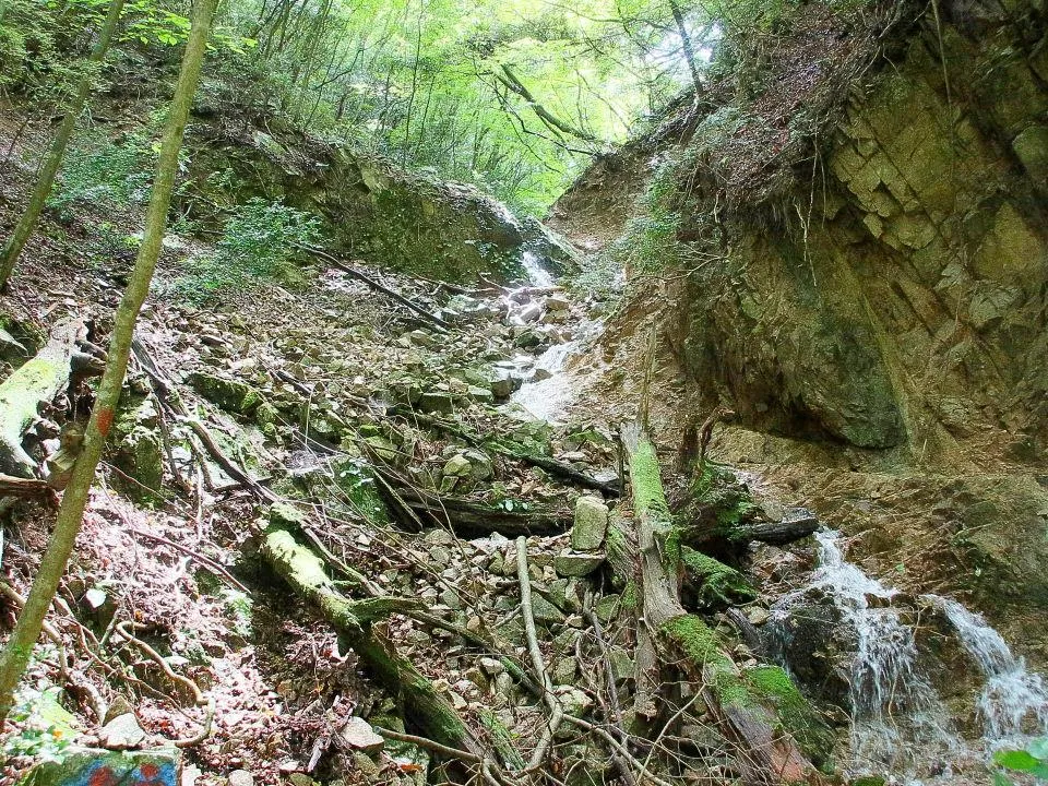 六甲山頂への山道