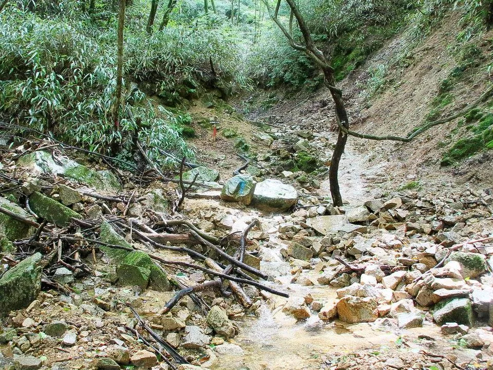 六甲山頂への山道