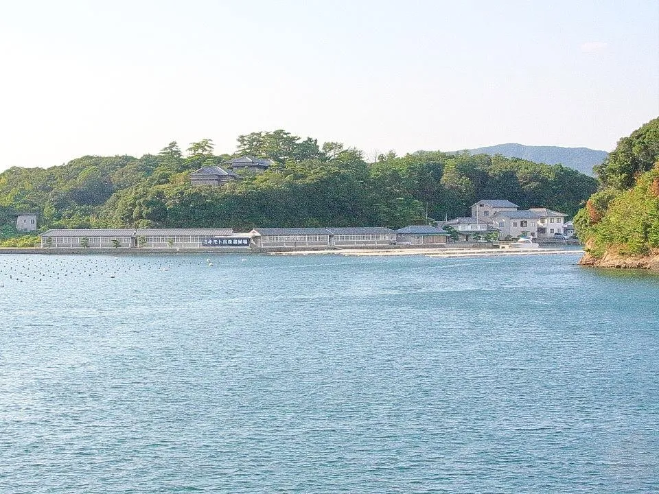 ミキモト真珠養殖場