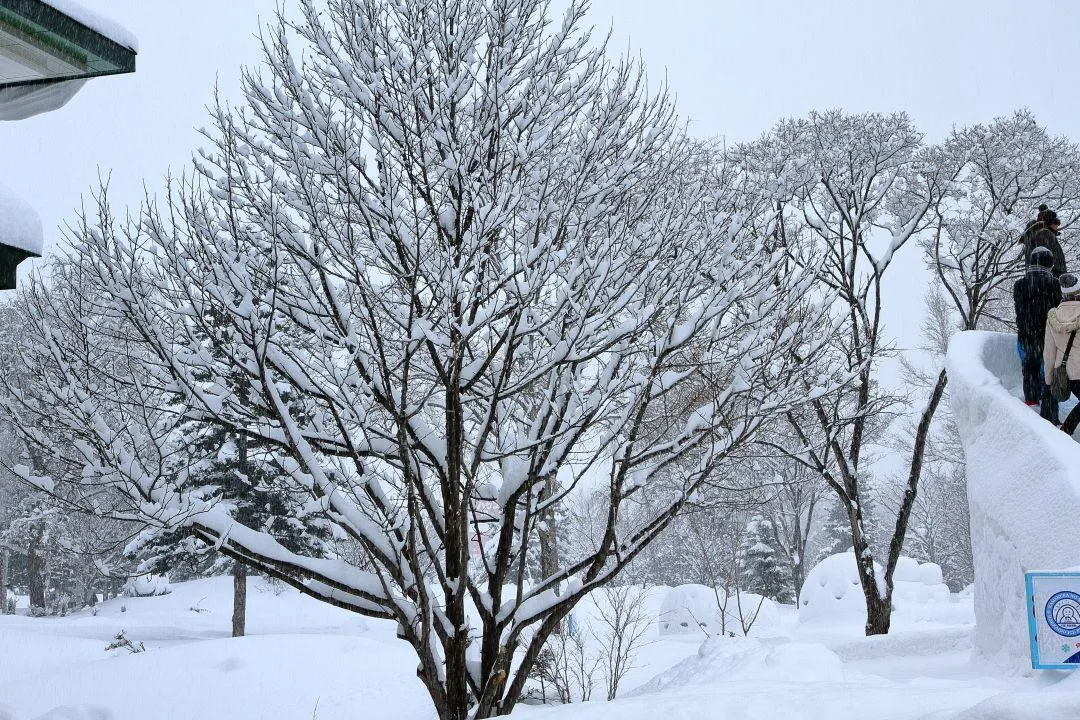 雪の花が満開