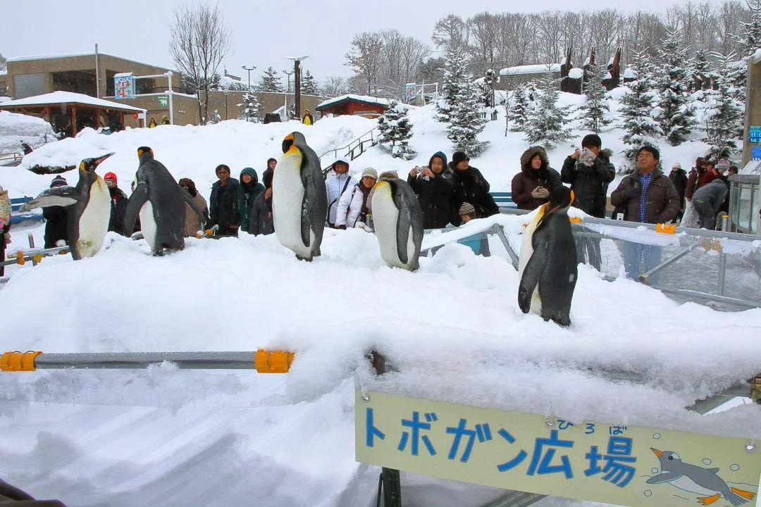 トボガン広場