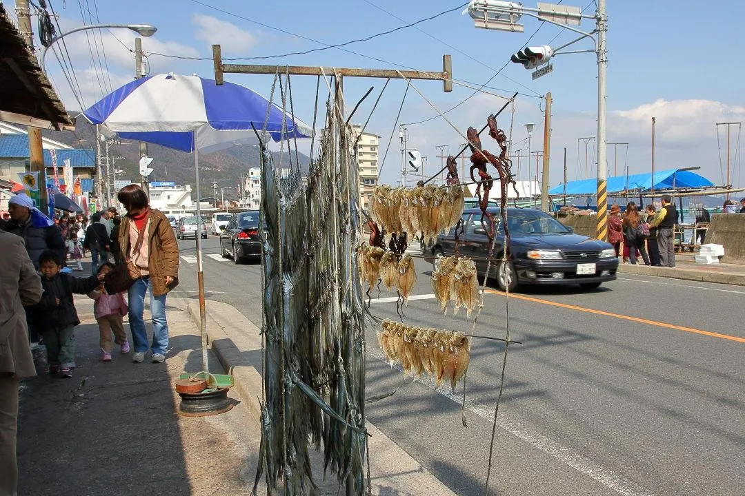 道路端での干物つくり