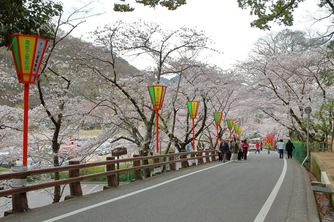 龍野公園駐車場前