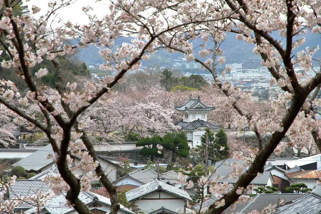 「文学の小径」から龍野城