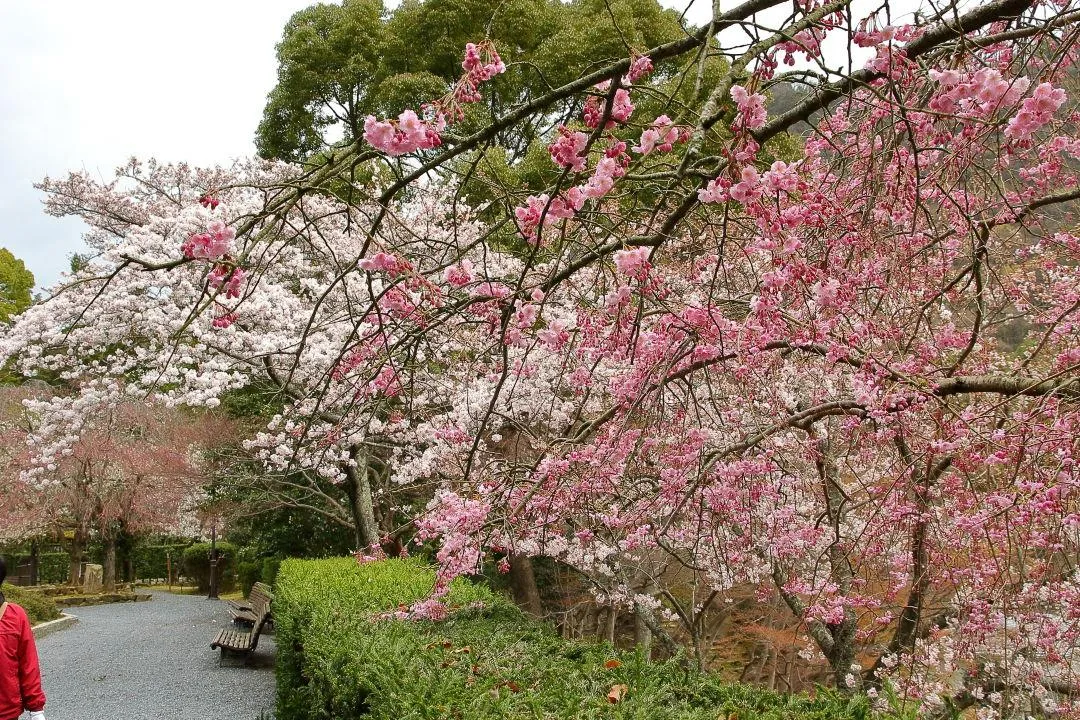 「龍野神社」前