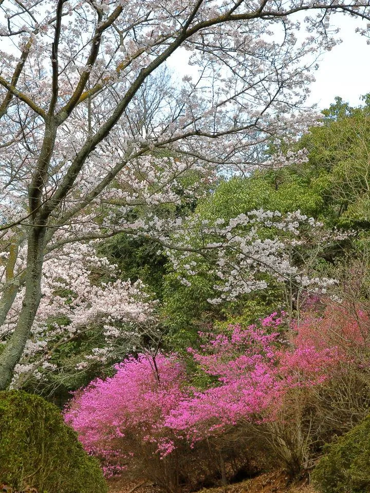 「哲学の小径」