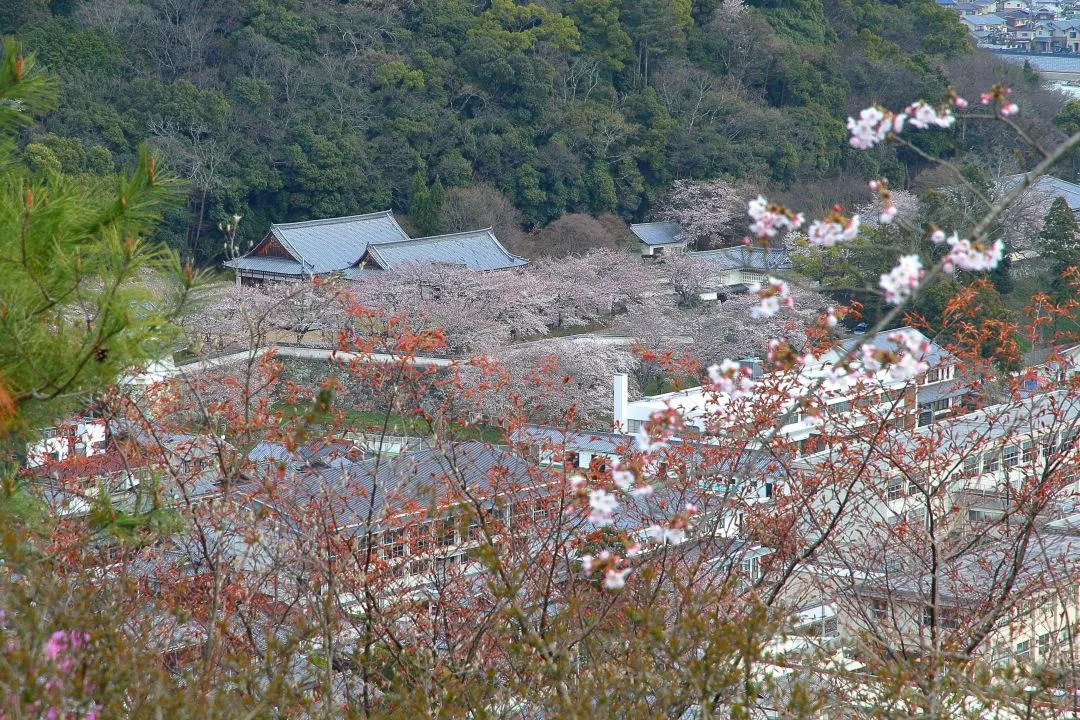 白鷺山公園から