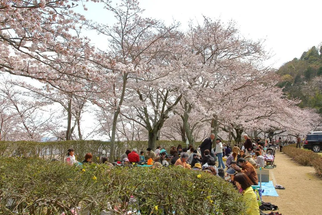 龍野公園市民グラウンド