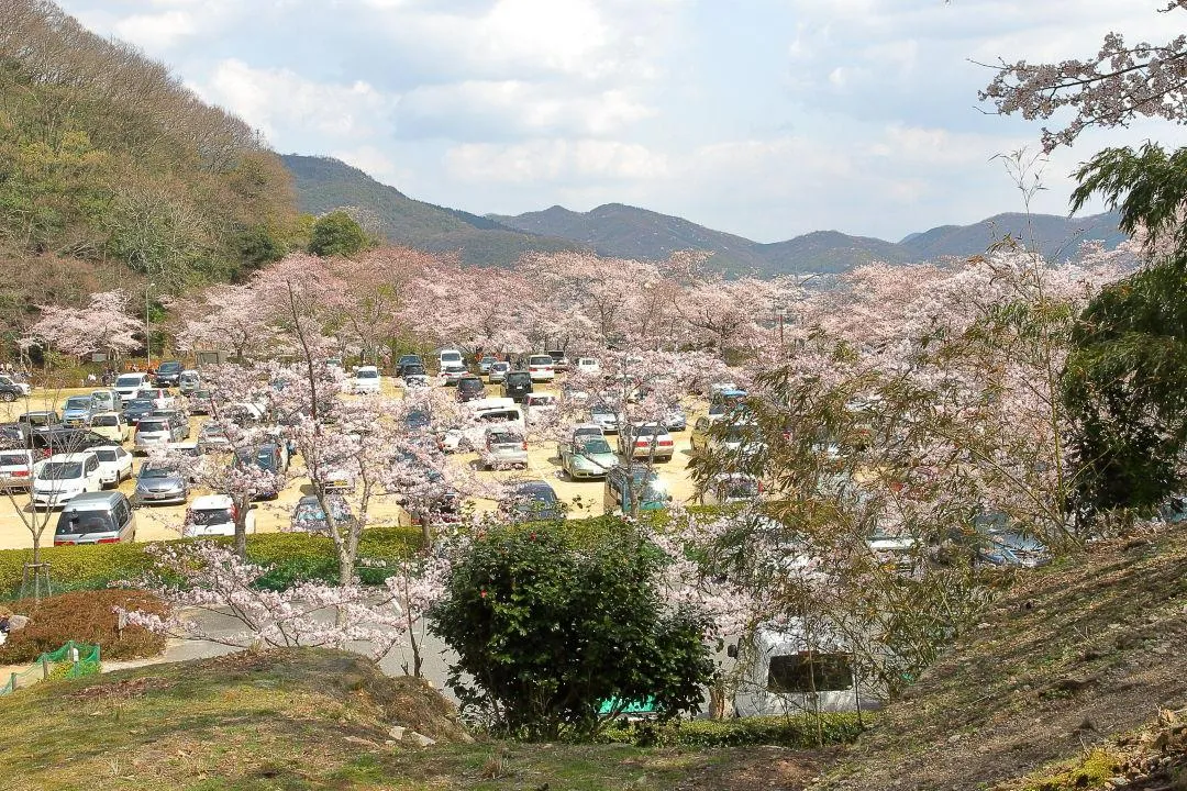 市民グラウンド