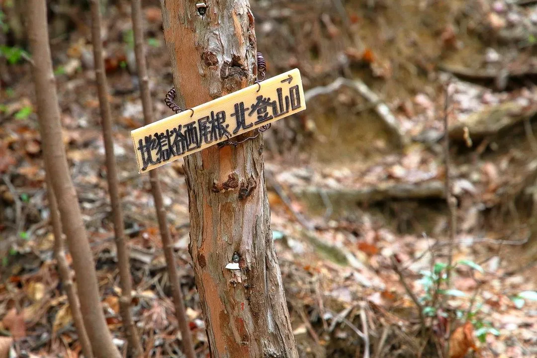 地獄谷西尾根 北登山口