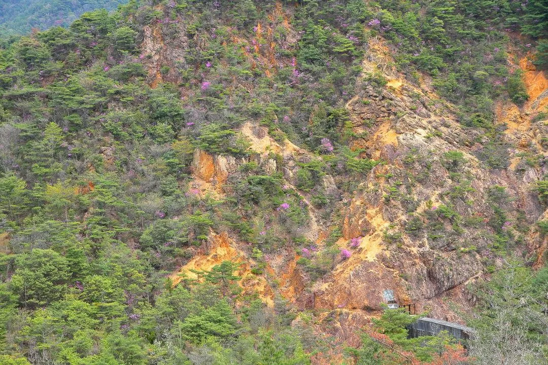 地獄谷東面にも少ない