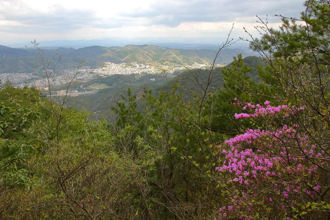 大池の町並み