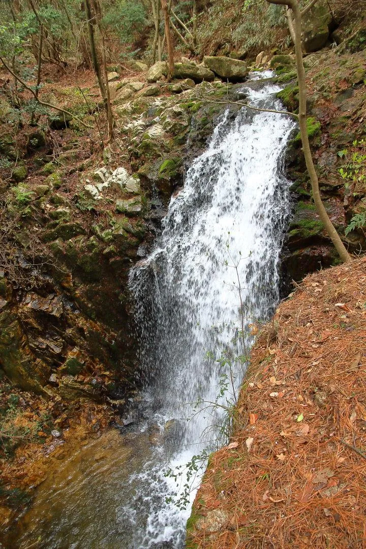 水量が少し多い