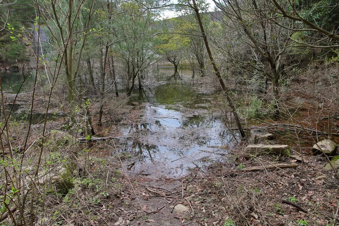 砂防ダム底の登山道は水没