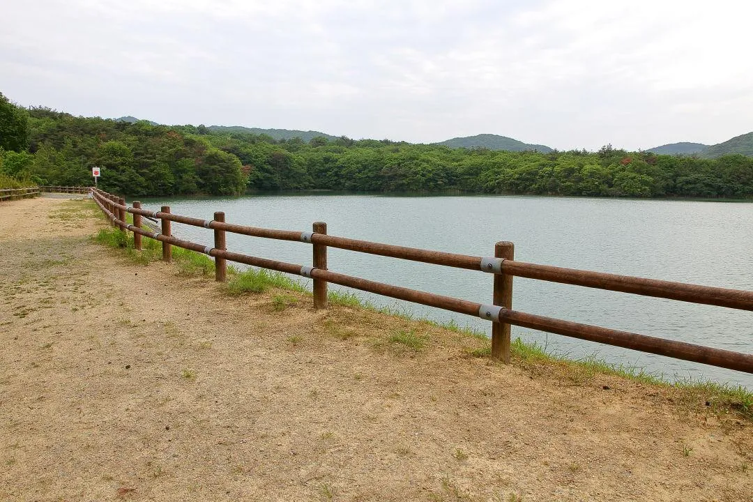 中山ノ大杣池