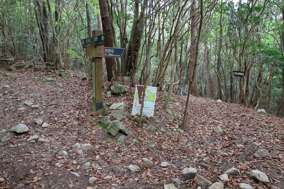 志久道から花折山方向へ