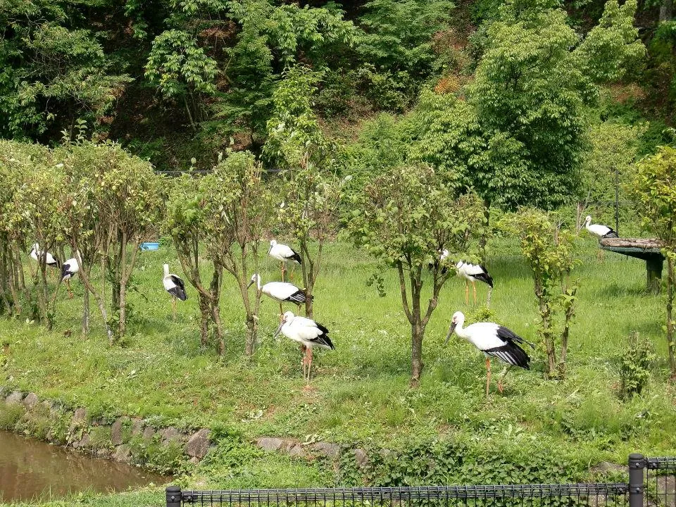 こうのとりの郷公園