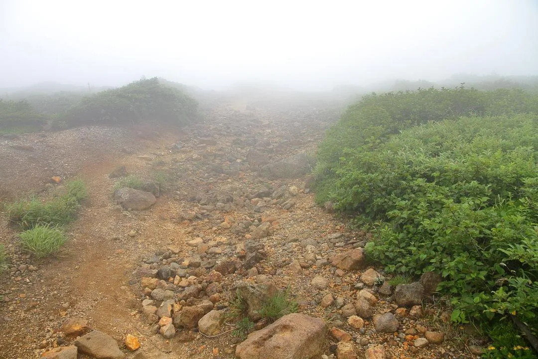 登山リフト沿いの登山路