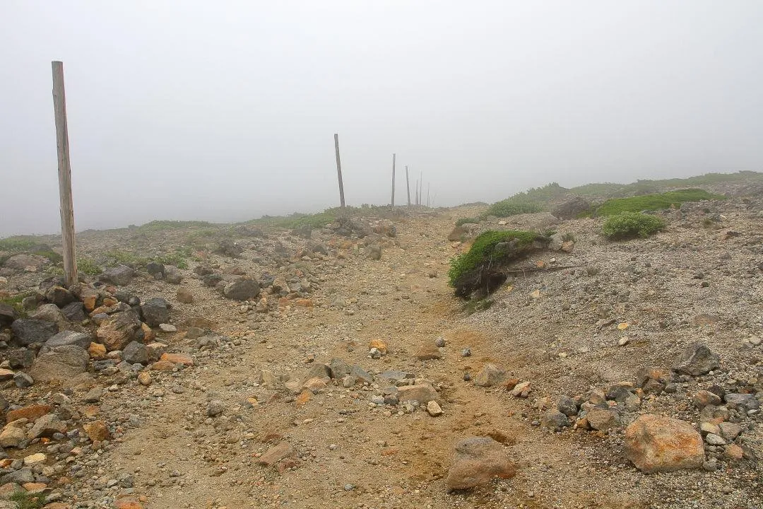 「馬の背」の登山道