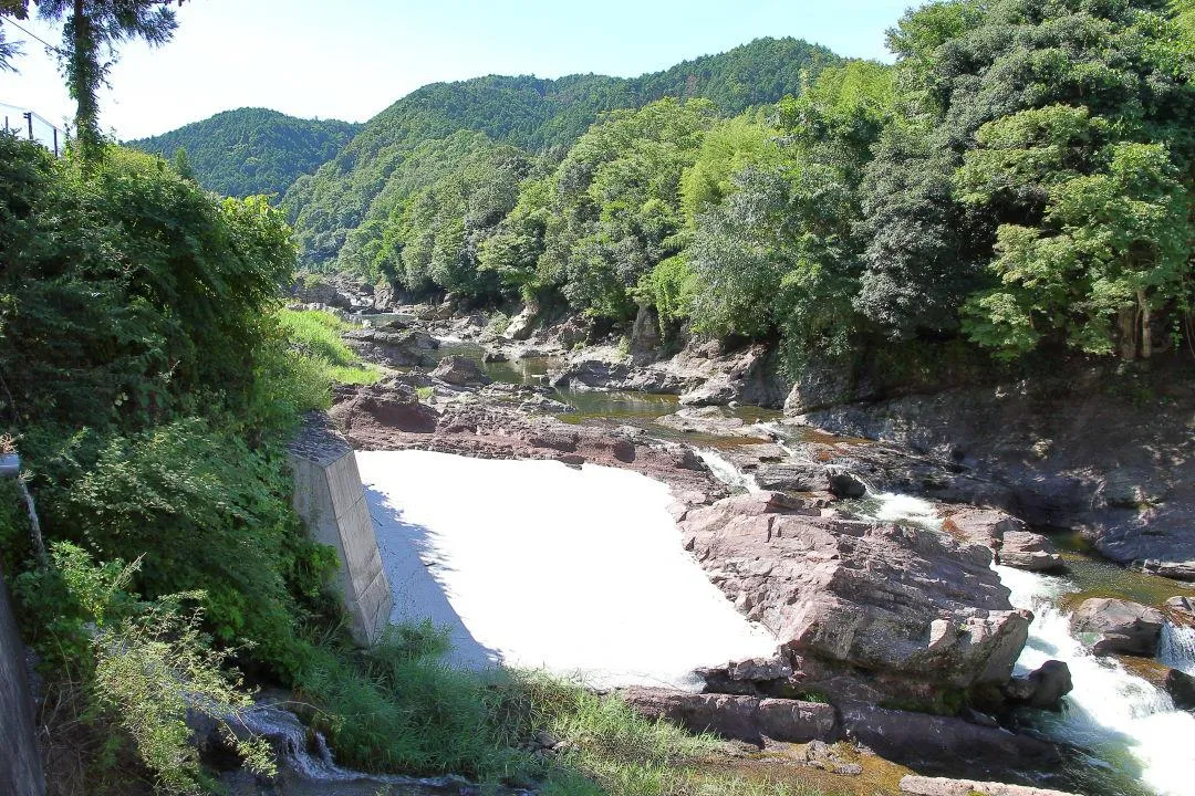 丹波竜発掘場所