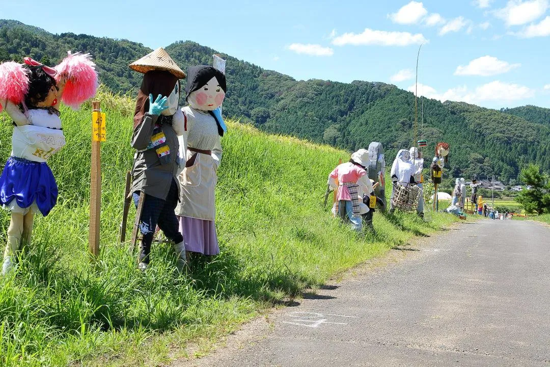 農道沿いの案山子