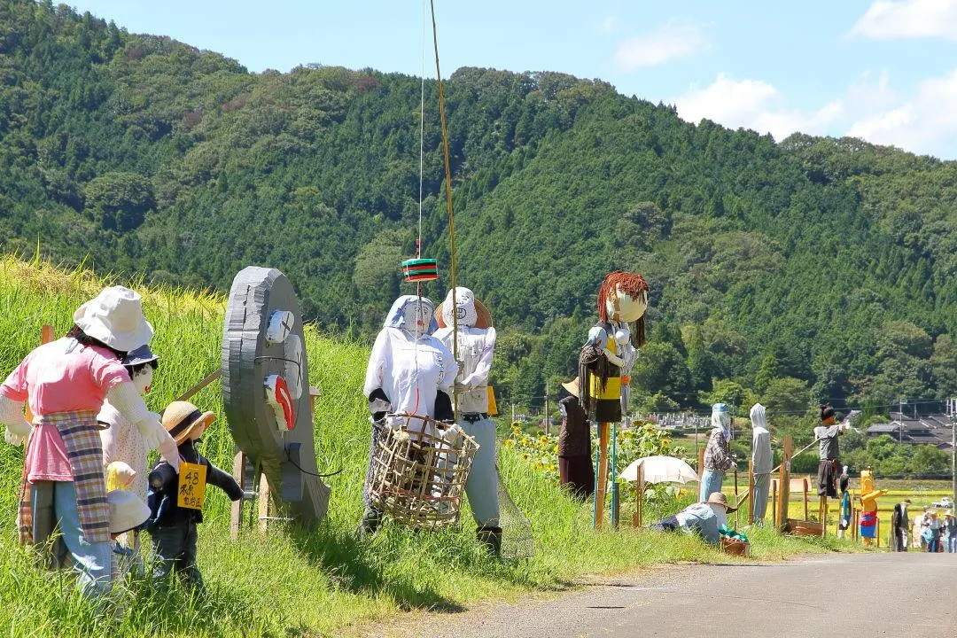 農道沿いの案山子