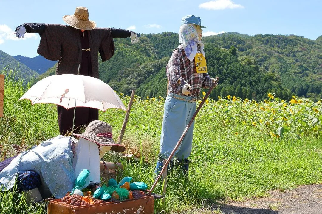 ひまわり畑を背に