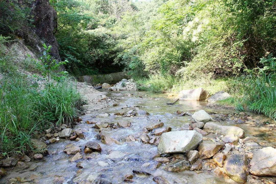 踏み跡を探すのが大変