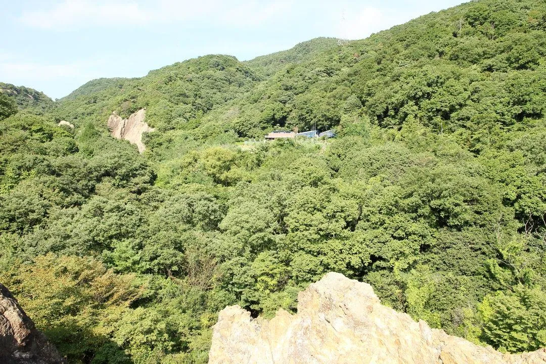 駐車場がに見えた