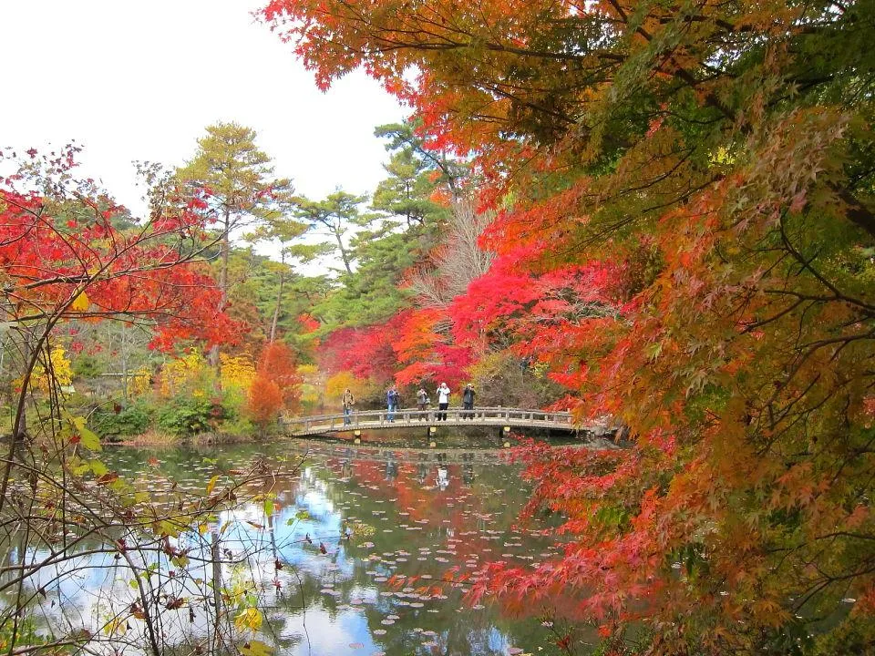 長谷池の紅葉