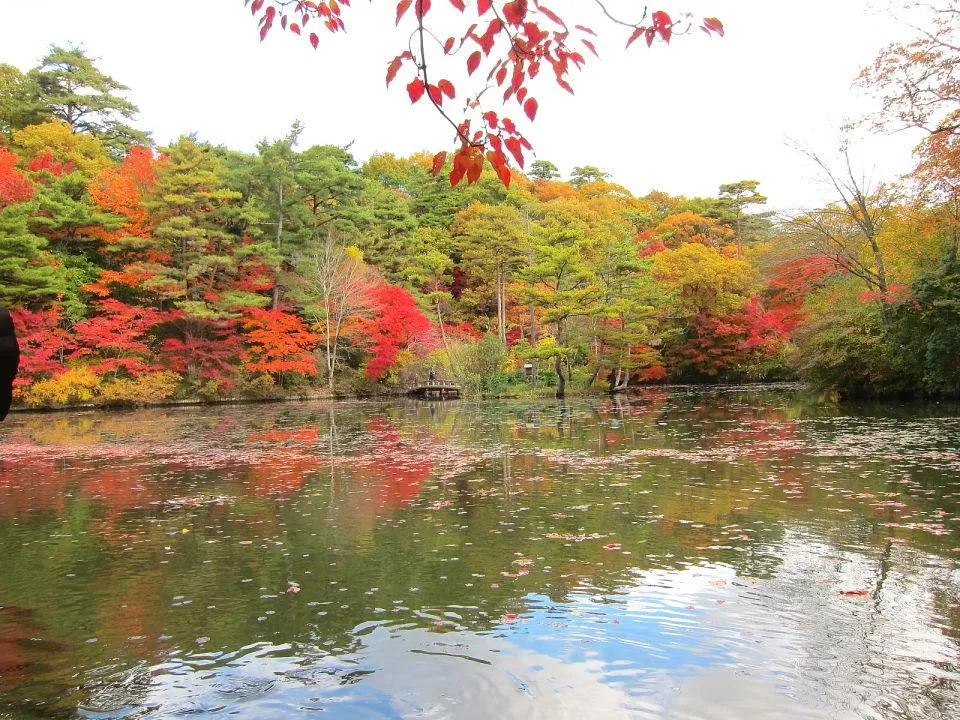 長谷池の紅葉