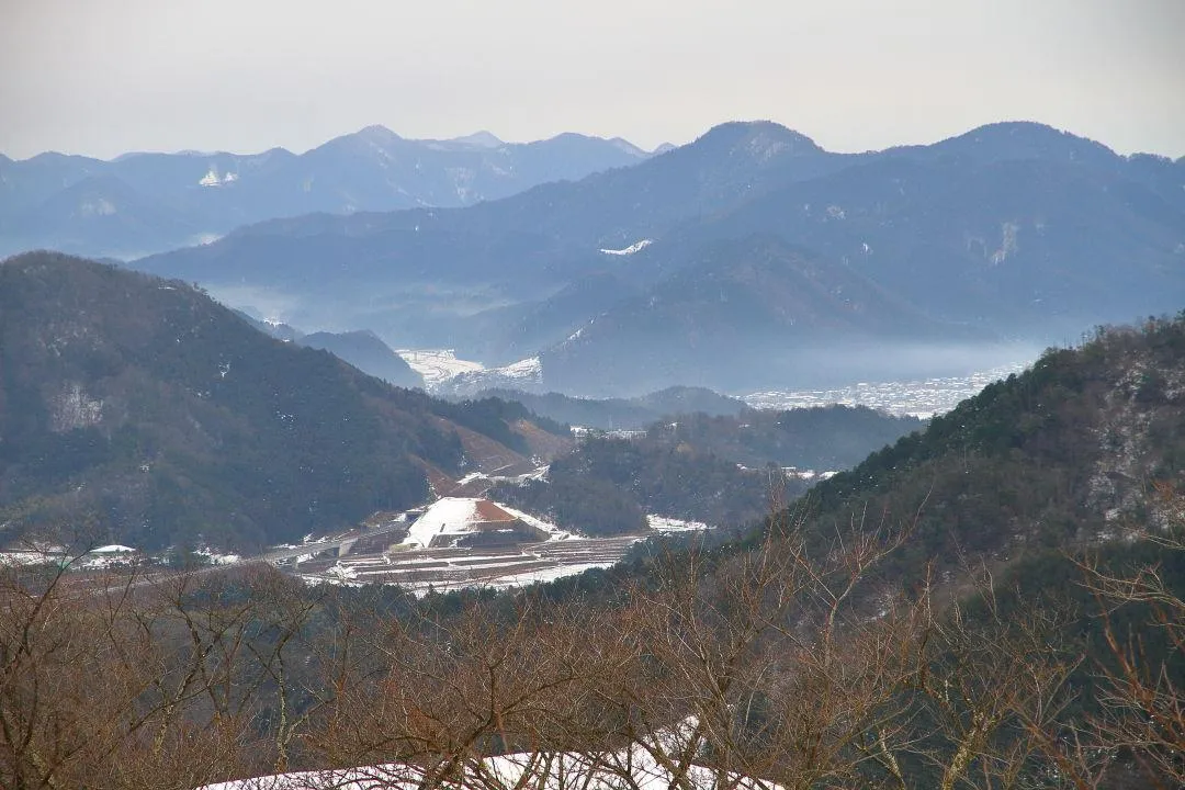 微かな朝霧