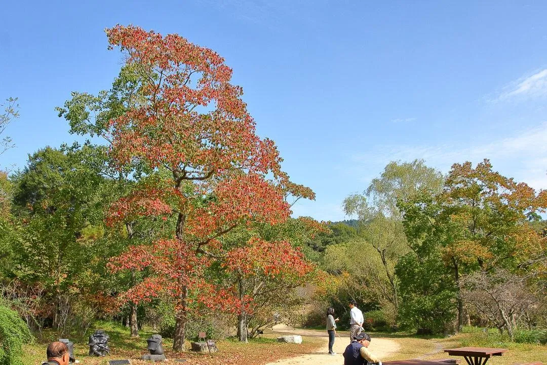 天津の森入口付近