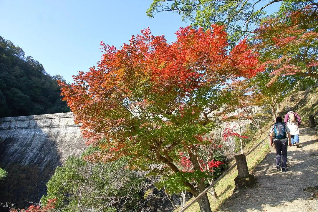 布引貯水池へ