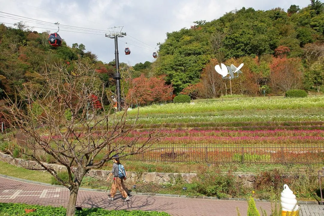 風の丘フラワー園