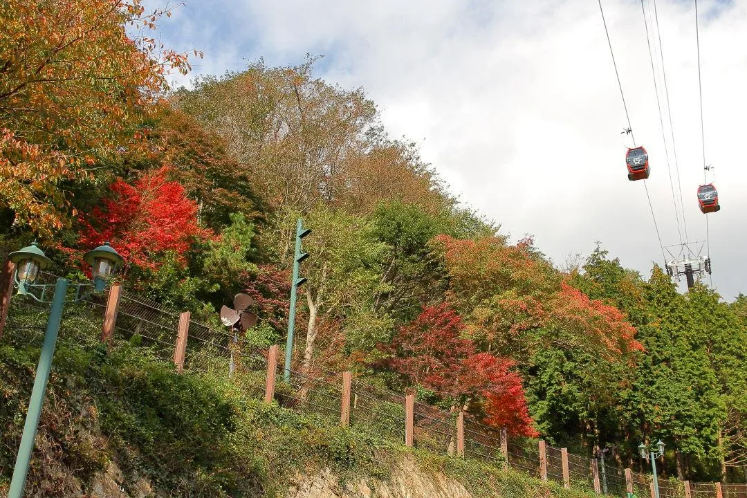 ラベンダー園付近の紅葉