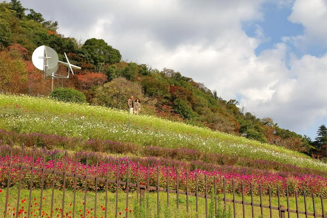 風の丘フラワー園