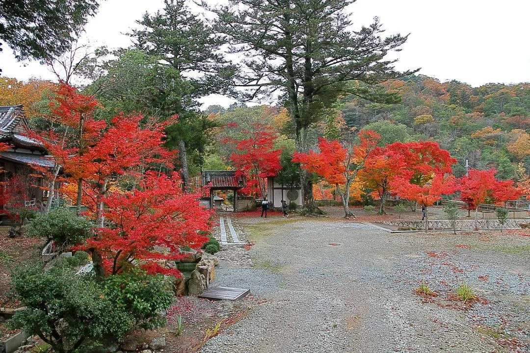 開基堂・山門と紅葉