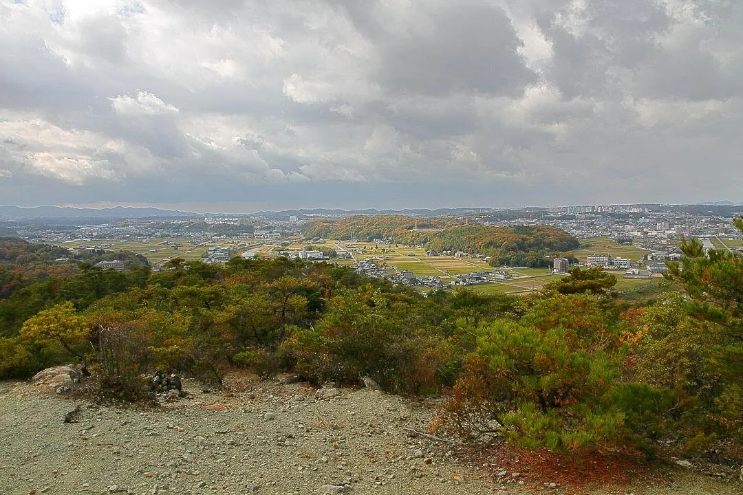 展望台から