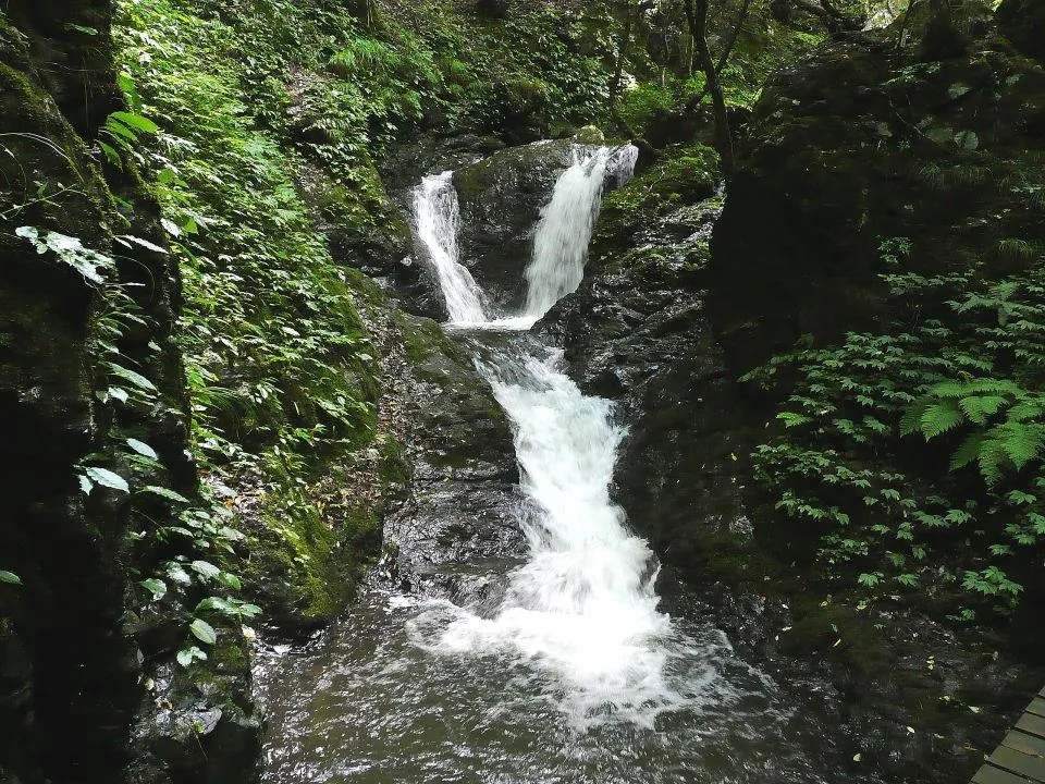 天滝渓谷 夫婦滝