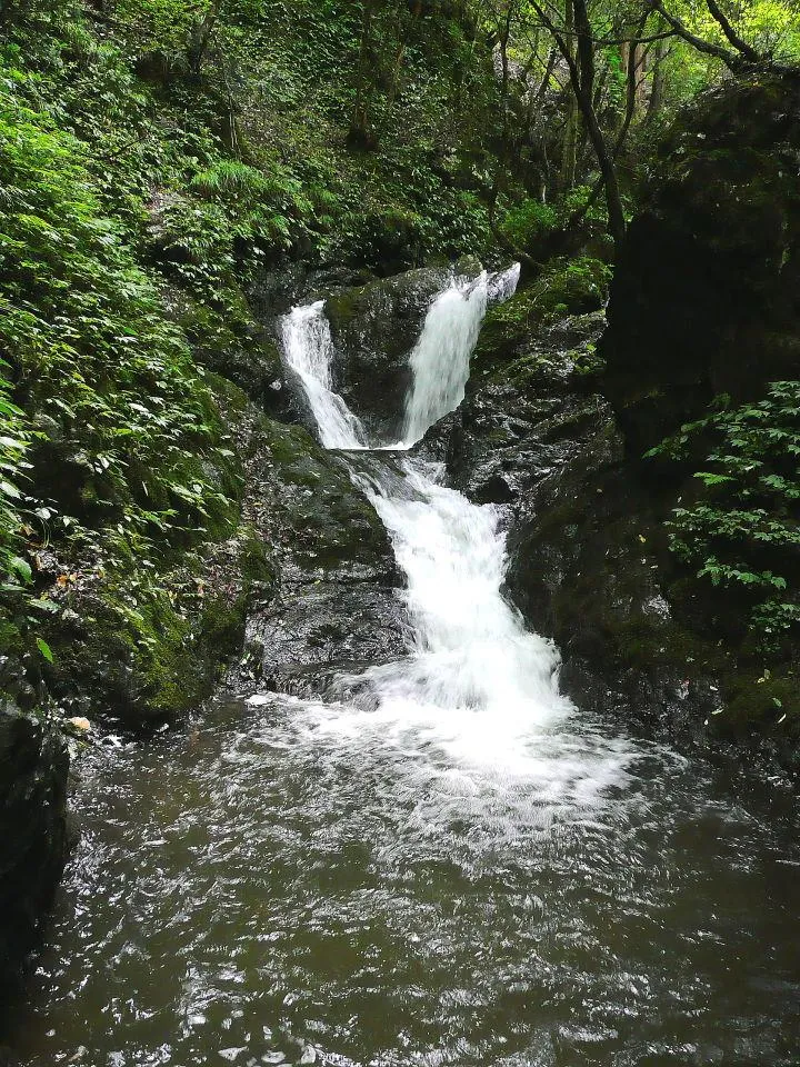 天滝渓谷　夫婦滝